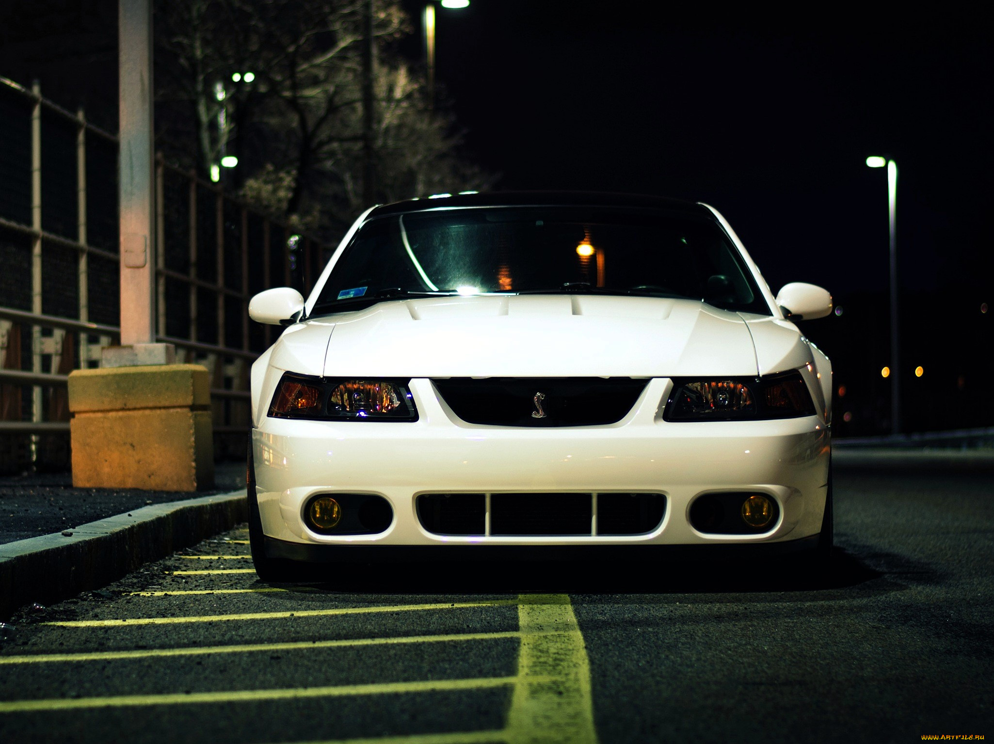 ford mustang, , mustang, , , , 